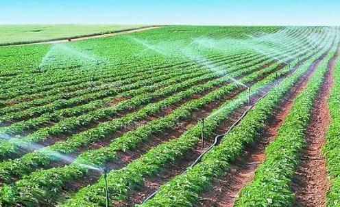 www。要操逼。com农田高 效节水灌溉